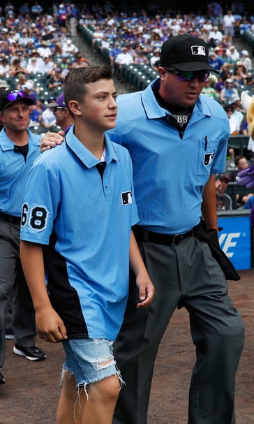 Teen ump caught in parents' brawl gets major league support